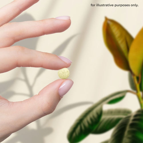 A small, round, light yellow, speckled tablet is held between two fingers.
