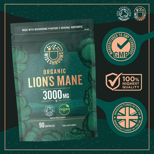 Hand holding Wiseshroom Organic Lion's Mane 3000mg with 90 vegan capsules.