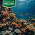 Vibrant coral reef with yellow and orange fish in a clear blue ocean, featuring a green banner 'PASSION FOR WELLNESS'.