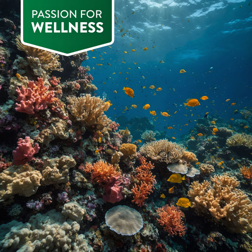 Vibrant coral reef with yellow and orange fish in a clear blue ocean, featuring a green banner 'PASSION FOR WELLNESS'.