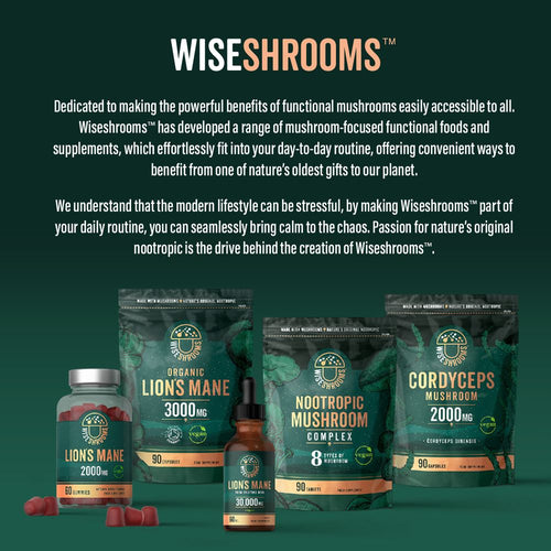 A hand holding a bottle of Wiseshroom Nootropic Mushroom Complex with 90 vegan tablets displayed on the label.